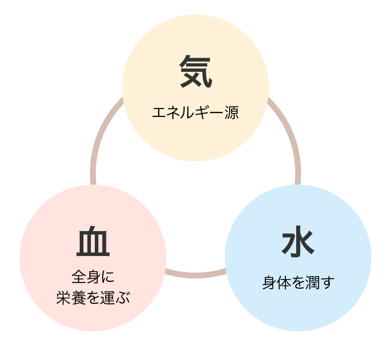 体質改善 気（エネルギー源）、血（全身に栄養を運ぶ）、水（身体を潤す）