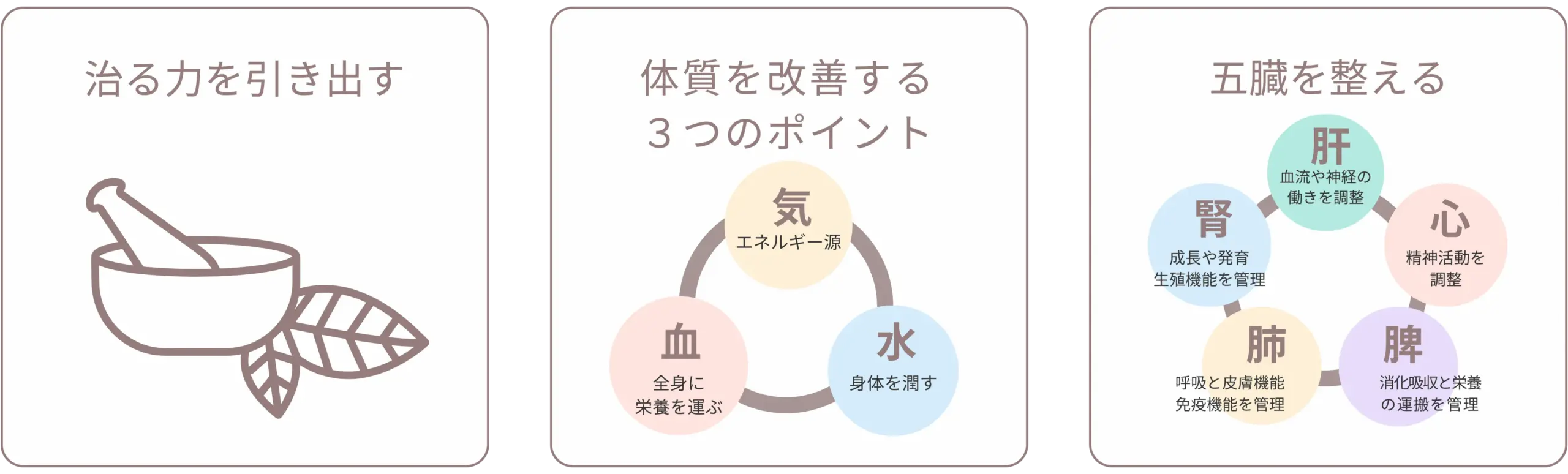 医療用漢方とは