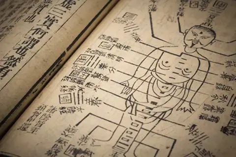 漢方における体質の考え方