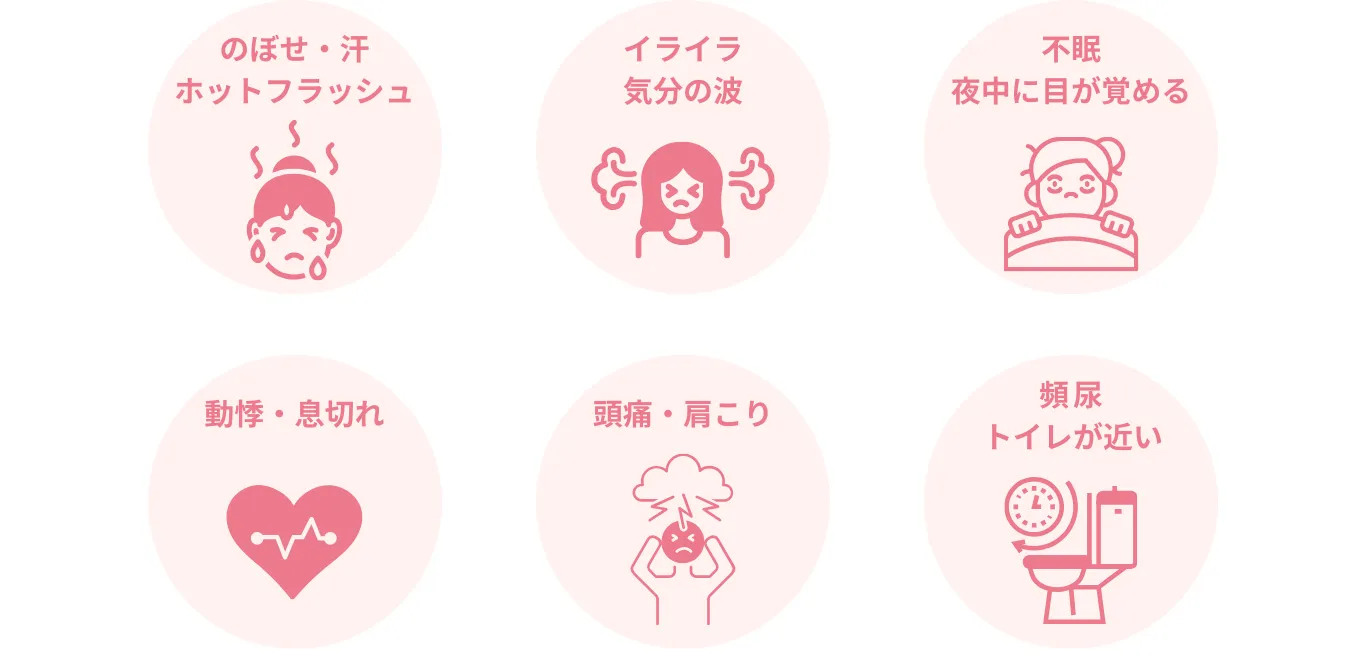のぼせ・汗ホットフラッシュ、イライラ・気分の波、不眠 夜中に目が覚める、動悸・息切れ、頭痛・肩こり、頻尿・トイレが近い
