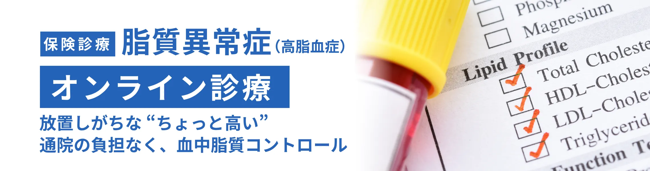 保険診療 脂質異常症(高脂血症)オンライン診療。放置しがちなちょっと高い通院の負担がなく血中脂質コントロール