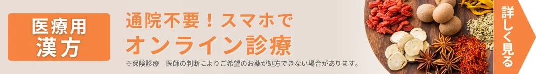 漢方の診療内容を簡単にまとめている画像