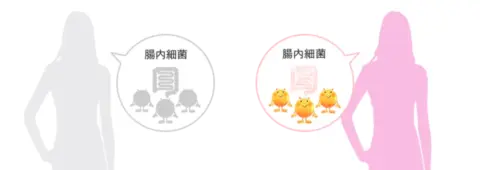 エクオール産生者・非産生者