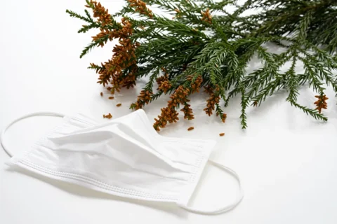 花粉症で鼻が詰まるときはマスクで防ぐ