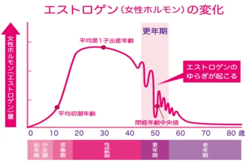 女性ホルモンの揺らぎを表すグラフ