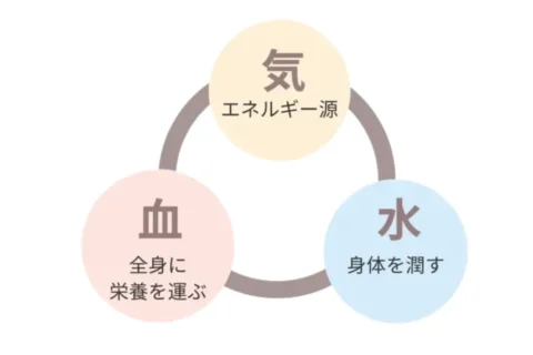気・血・水の考え方 疲れすぎて眠れない・不安が強いタイプの方に