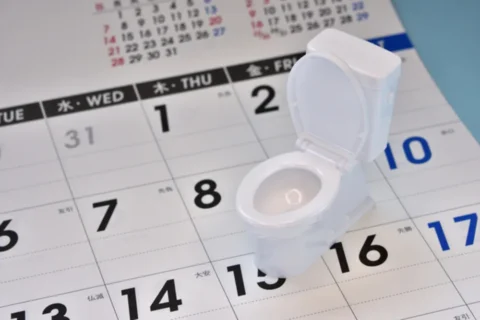 トイレとカレンダー