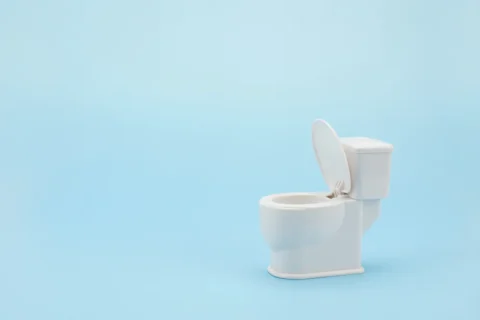 洋式トイレで残便感をスッキリとさせる対策