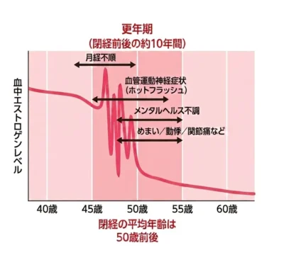 ホルモンバランスの変化のグラフ