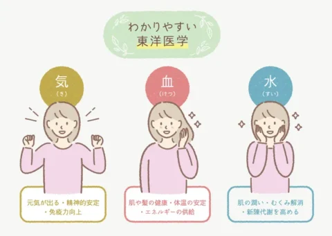 東洋医学の気・血・水について